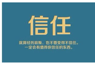 薇薇朵最強戰隊紫芳強勢招代理 攜手共創互聯網數據服務新篇章